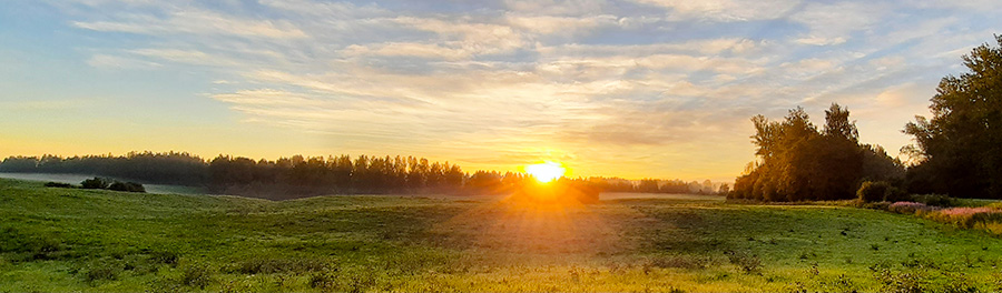 sunrise_love